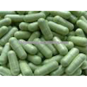 Formule probiotique Capsules